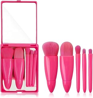 Gleva Travel Size Mini Makeup Brushes Set with Mirror Small Complete Function Cosmetic 5 Pcs Brushes Kit Case Apply to Face Foundation Powder Conceale