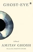 Ghost-eye: A Novel