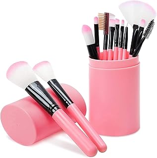 New Makeup Brush Set - 12 Pcs Face Makeup Brushes Set (Pink)