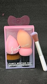 Makeup Sponges Set Professional Beauty Sponge Set With Storage Box 2 Beauty Sponges 1 Mushroom Powder Puff 1 Foundation Brush 1 Powder Brush Dry Wet U