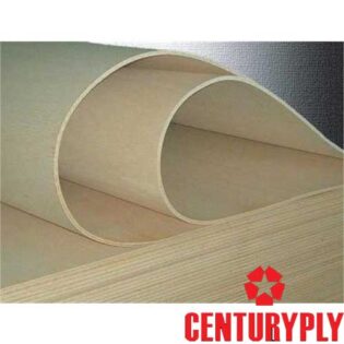 Century Pf Flexible Plywood