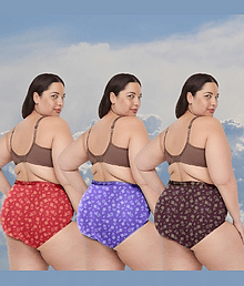 HONEYANNO Pack of 3 Cotton Hipster For Women ( Multicolor )