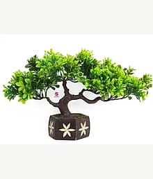 Leafora Artificial Green Fenugreek leaves Bonsai tree with wooden pot home decor Bonsai Wild Artificial Plant with Pot (22 cm, Green)