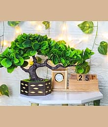 Leafora Green plant for office In green colour good for homegood quality product Bonsai Wild Artificial Plant with Pot (22 cm, Green)