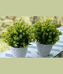 Leafora :) Prajastore Presants The Artificial Plant with Pot Bonsai Potted Plastic money Artificial Plant with Pot (20 cm, Green)