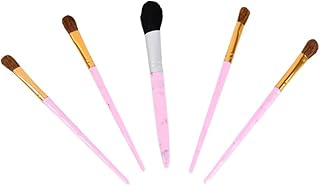 Makeup Brush Set, Soft Bristles, for Foundation, Eyeshadow, Blush, Contour and Blending, Pack of 5, Random Colours
