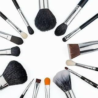 Professional Makeup Brush Set, Multi-Colour, Synthetic and Natural Hair Bristles, for Face and Eye