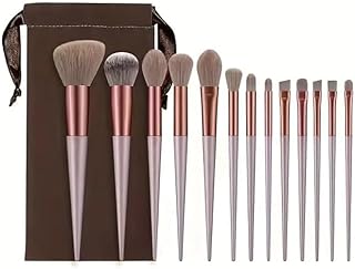 13 Pcs Makeup Brush Set Makeup Brush Set with Soft Nylon brush ABS Handle for all skin use gift for makeup artist beauty parlour Foundation Brush Face