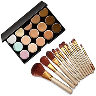 15 Color Cream Concealer Palette with 12 Make up Brush Set Natural Finish