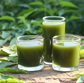 Srihari peepal neem leaf juice 900ML for kidney health