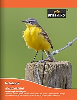 Freemind Hardcover Notebook, 19x15.5 cm, 120 Pages, Unruled, Pack of 12