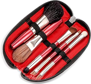 Protable Mini Makeup Brushes Set with Travel Case,5PCS Cosmetic Brushes Kit(Natural and Synthetic Hair)-Includes Foundation-Contouring-Blending-Blush