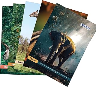 KAANUKA Long Size Notebook - 140 Pages, Ruled, Single Line, A4-29.7cm X 21.0cm, Pack Of 5 Notebooks, Long Size Single line Notebooks for School and Co