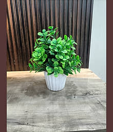 EverBloom Sword Grass with Pot Wild Artificial Plant with Pot (30.48 cm, Green)