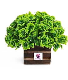 FLORIVA :) Sanol :) Artificial Green rose plant with wooden pot , wild Plant, Decorative Bonsai Wild Artificial Plant with Pot (18 cm, Green)