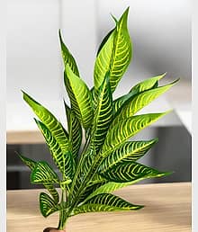 FLORIVA Sanol Natural Looking For Home,Office Decoration Bonsai Artificial Plant (70 cm, Green)