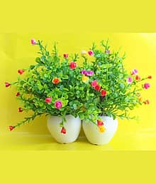 FLORIVA Sanol green artifial plant AA_88 Artificial Plant with Pot (25 cm, Green)