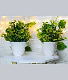 FLORIVA Set of 2 Artificial Plants with Pot Bonsai Potted Plastic Faux Green Grass Fake Artificial Plant with Pot (20 cm, Green)