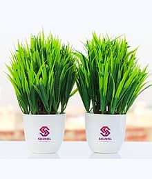FLORIVA Set of 2 Artificial Plants With Pot/Vase For Home Decoration Bonsai Wild Artificial Plant with Pot (18 cm, Green)