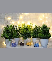 FLORIVA - Set of 5 Natural Looking Artificial Leaves Flowers Plant Bonsai Wild Artificial Plant with Pot (18 cm, Green)