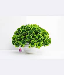 FLORIVA Wild Artificial Plant with Pot (16 cm, Green)