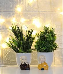 FLORIVA set of 2 Green Grass and Green Leaves for Home Table Decor Items Bonsai Wild Artificial Plant with Pot (18 cm, Green)