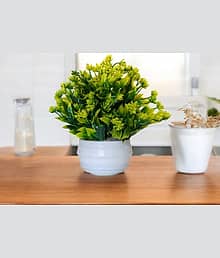 Floriva Artificial Money Plant Green for Home Decoration Wild Artificial Plant with Pot (20 cm, Green)