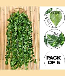 Floriva Beautiful Artificial Areca Floor Plant with Big Leaves and Without Pot Artificial Plant (20 cm, Green)