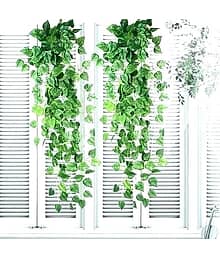 Floriva Unique Design Flower Plant Set for Decoration, Artificial Plant (50 cm, Green)