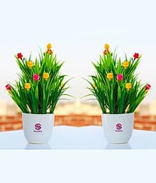 Leafora :) Sanol :) Artificial Multicolour mini rose with green soft grass attached Wild Artificial Plant with Pot (24 cm, Green)