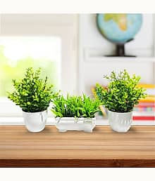 Leafora Sanol Pack of 3 Natural Looking For Home,Office Decoration Bonsai Wild Artificial Plant with Pot (18 cm, Green)