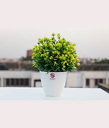 Leafora Set Of 1 Artifical Plants with pot Plants Artificial Mini Plants Plastic Green Wild Artificial Plant with Pot (18 cm, Green)