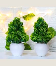 Leafora Set of 2 Natural Looking For Home,Office Decoration Bonsai Wild Artificial Plant with Pot (18 cm, Green)