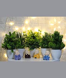 Leafora - Set of 5 Natural Looking Artificial Leaves Flowers Plant Bonsai Wild Artificial Plant with Pot (18 cm, Green)