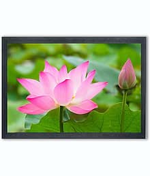 Lotus Painting Photo Frame For Wall Mounted Painting (10 * 14 Inches)