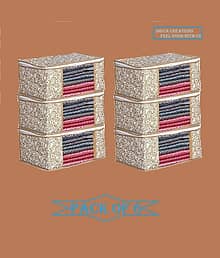 Non Woven Fabric with premium quality Saree/shirt/lehnga/multipurpose/ Cover/Clothes Organizer/wardrobe/storage Printed Design & Transparent Window|Zi