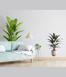 Realistic Bird of Paradise Potted Plant Wall Sticker 18x24 inch | Premium Vinyl Self Adhesive Decal Tropical Green Leaves | 3D Artificial Plant Decor