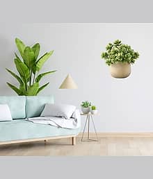 Realistic Jade Plant Potted Succulent Wall Sticker 18x18 inch | Premium Vinyl Self Adhesive Decal Green Leaves in Cracked Pot | 3D Artificial Plant De