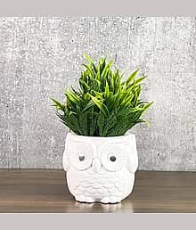 Sanol Artificial Fern Plant with Small Plastic Owl Pot for Home Decor Bonsai Artificial Plant with Pot (20 cm, Green)