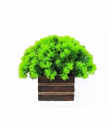 Sanol - Artificial mini green grass with wood pot for home decor Bonsai Wild Artificial Plant with Pot (18 cm, Green)