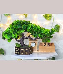 Sanol - Artificial mini green grass with wood pot for home decor Wild Artificial Plant with Pot (22 cm, Green, Brown, Gold)