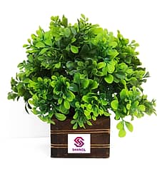 Sanol :) Sanol :) Artificial Green Fenugreek leaves plant with wooden pot , wild Plant Wild Artificial Plant with Pot (16 cm, Green)