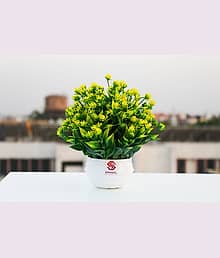 Sanol :) Sanol :) Artificial Mini green money plant with yellow flowers, wild Plant Artificial Plant with Pot (18 cm, Green, Yellow)