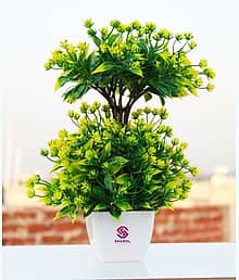 Sanol :) Sanol :) Artificial money plant attached to a wonderful white heavy plastic Artificial Plant with Pot (20 cm, Green)