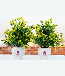 Sanol We :) Sanol :) Bring One pair of Artificial money plant comes with unique design Wild Artificial Plant with Pot (22 cm, Green, Yellow)
