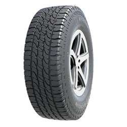 Michelin LTX FORCE