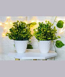 leafora - Artificial mini green grass with wood pot for home decor Wild Artificial Plant with Pot (20 cm, Green)