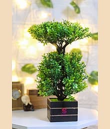 leafora Best For Home/Office Table Decorationor Gift Table Flower Pot Artificial Plant with Pot (25 cm, Green)
