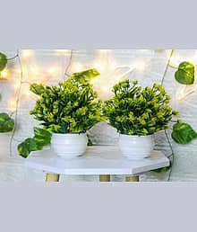 leafora Office DecorationArtificial Plant with Pot Bonsai Wild Artificial Plant Artificial Plant with Pot (18 cm, Green)