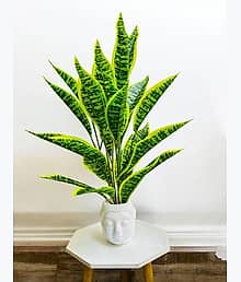 leafora Wild Artificial Plant with Pot (65 cm, Green)